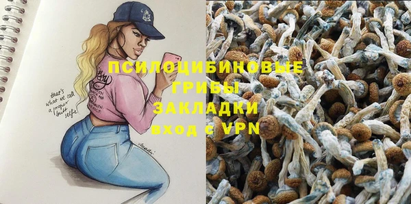 крисы Вязьма