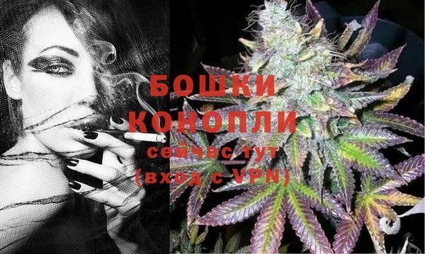 сатива Вязники