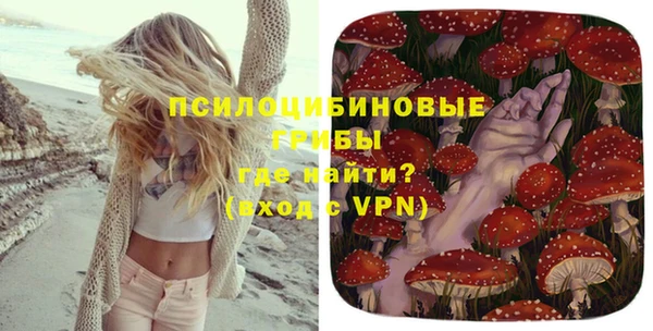 крисы Вязьма