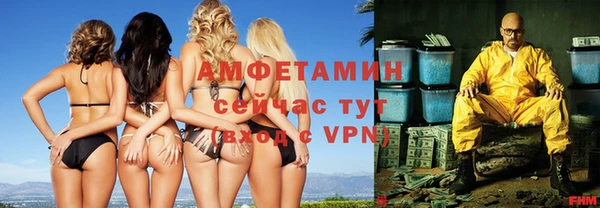 крисы Вязьма