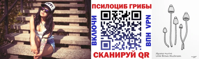 Купить где  Курлово  Псилоцибиновые грибы прущие грибы 